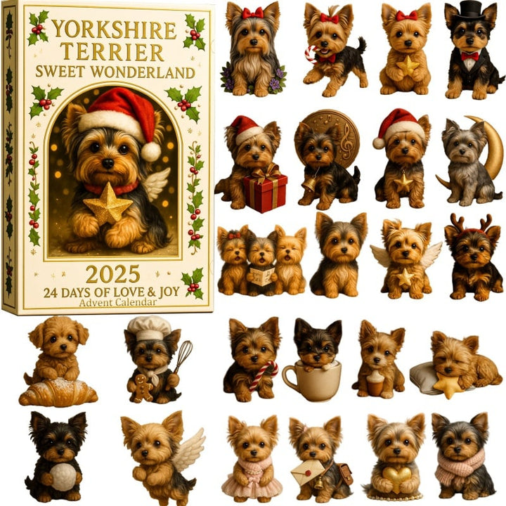 Yorkshire teriér Sweet Wonderland | Adventní kalendář 2025